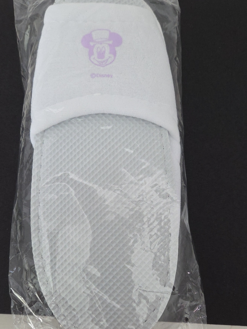 Tokyo Disney Resort Fantasy Springs Hotel Slippers Adult Sized